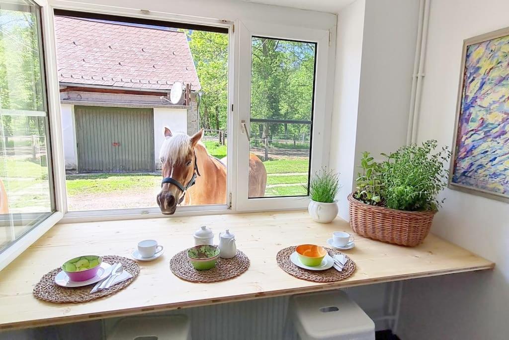 Cosy Family Apartment Reichenau Esterno foto